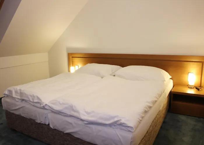 Apartmán Lednice Apartmán *
